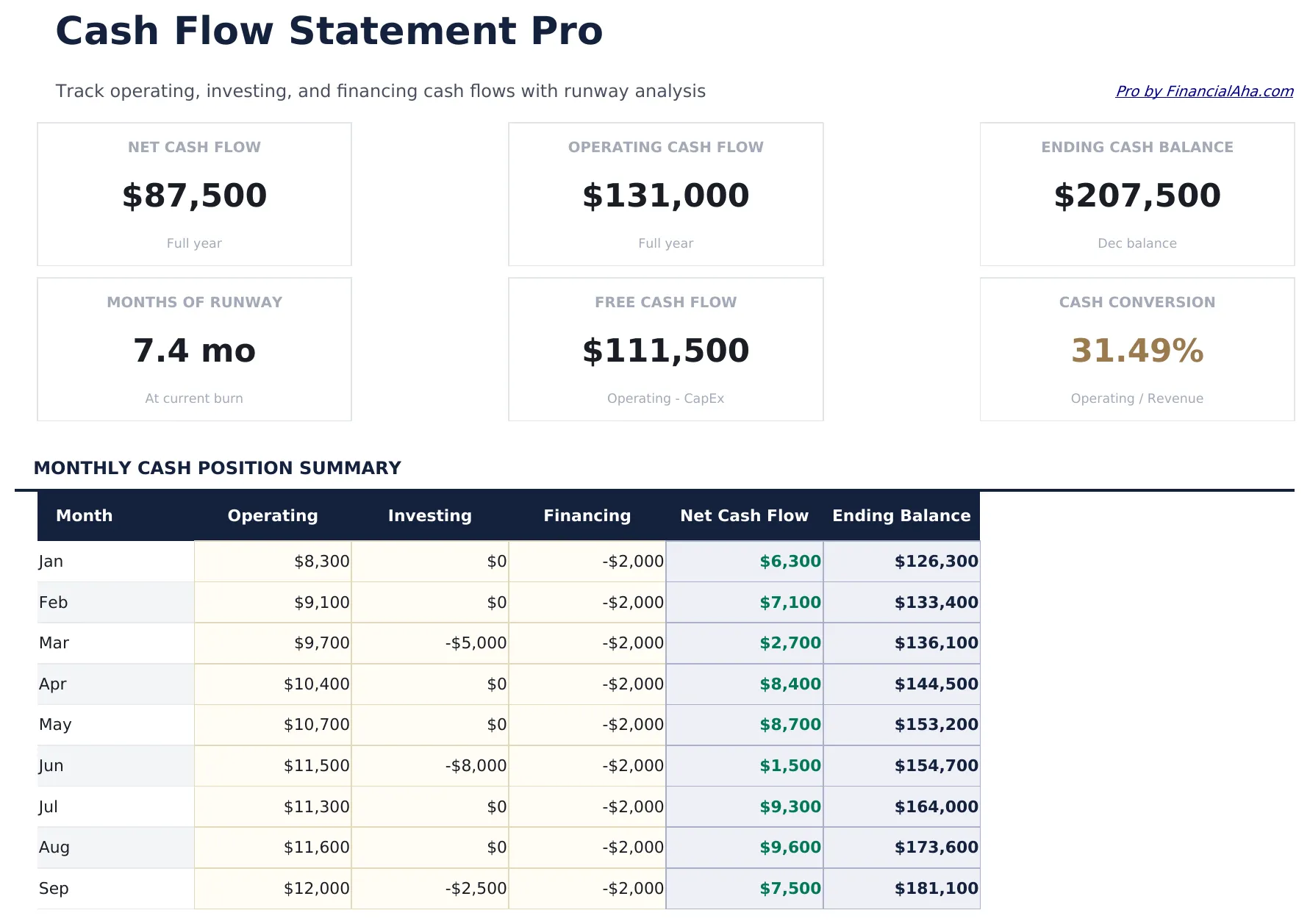 Cash Flow Statement Pro preview