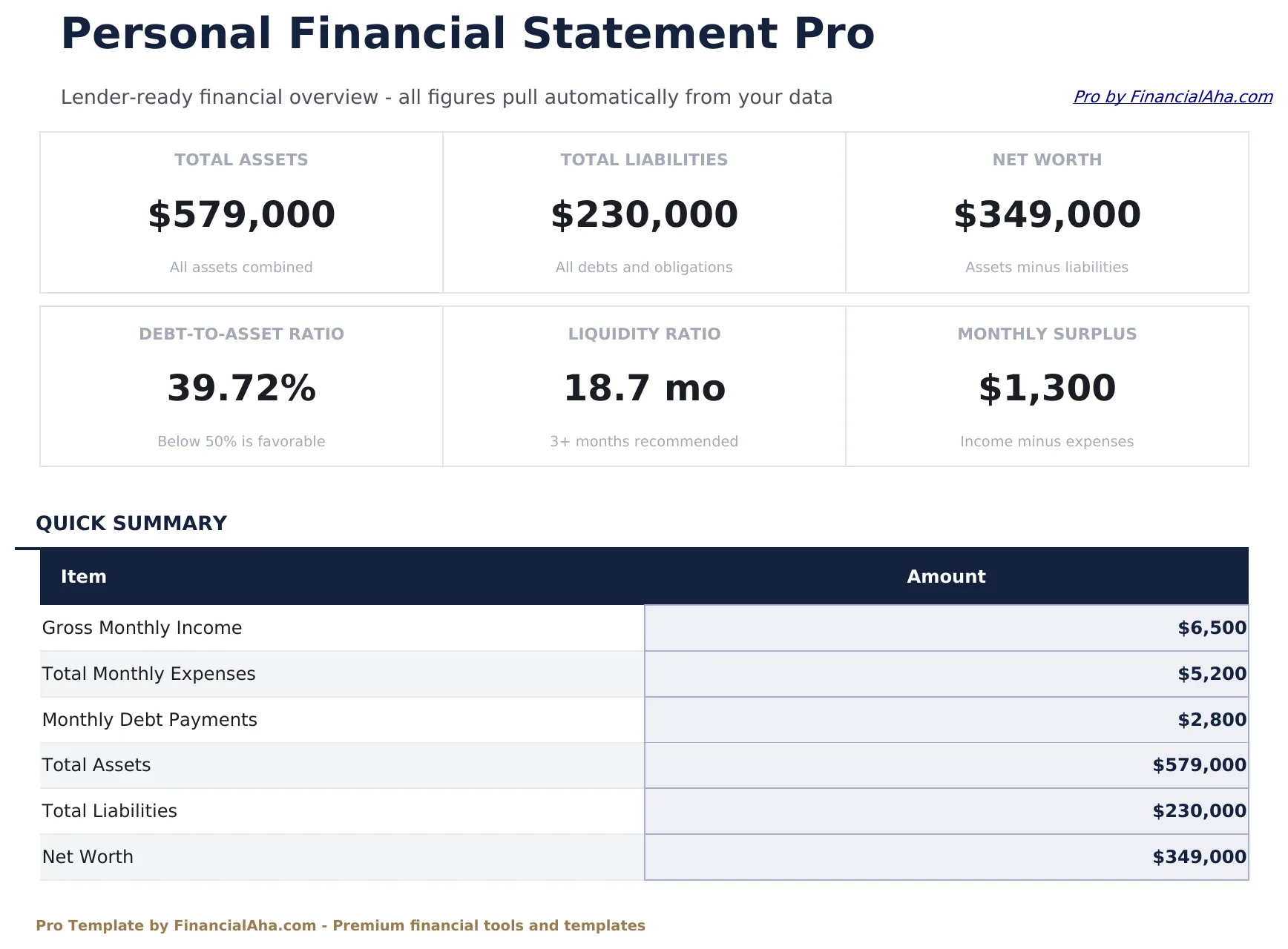 Personal Financial Statement Pro preview