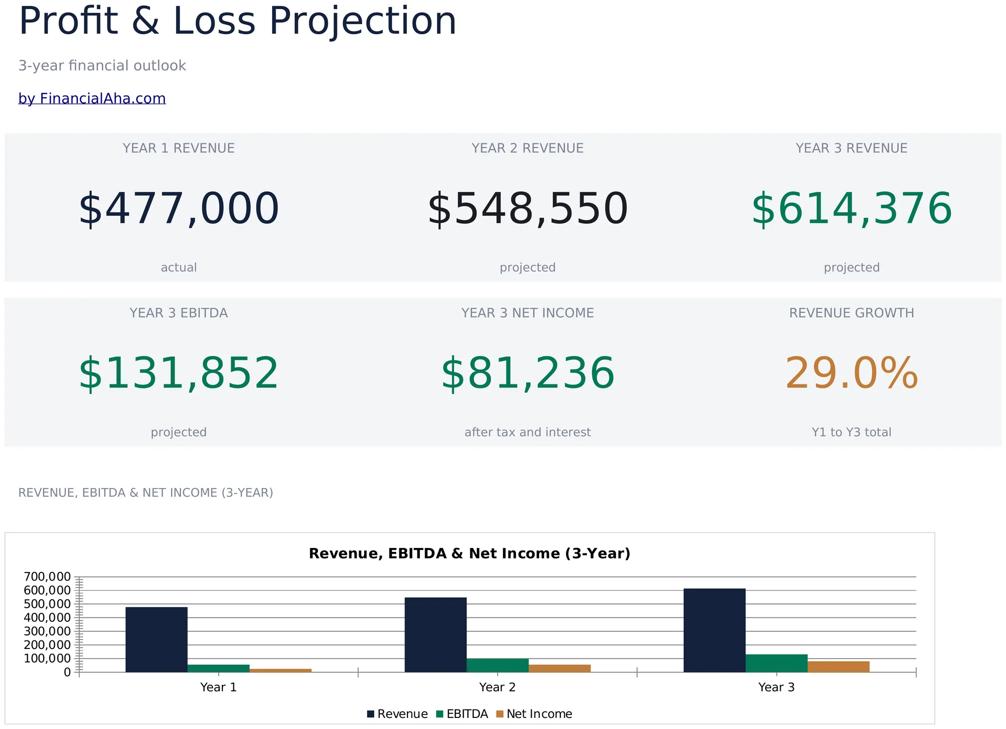 Profit and Loss Projection preview