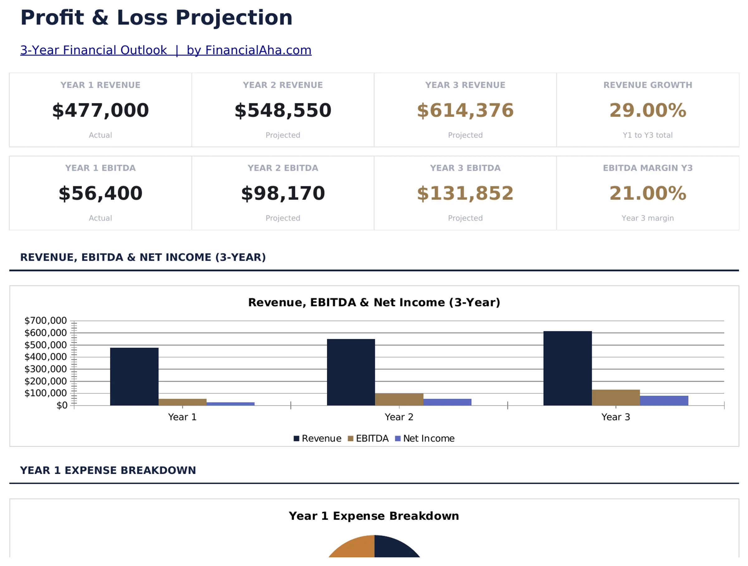 Profit and Loss Projection preview