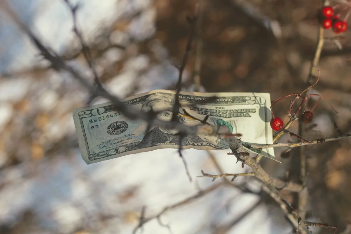 Net worth tracking and financial psychology
