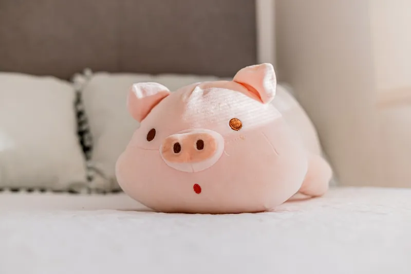 Sinking fund envelopes for planned expenses