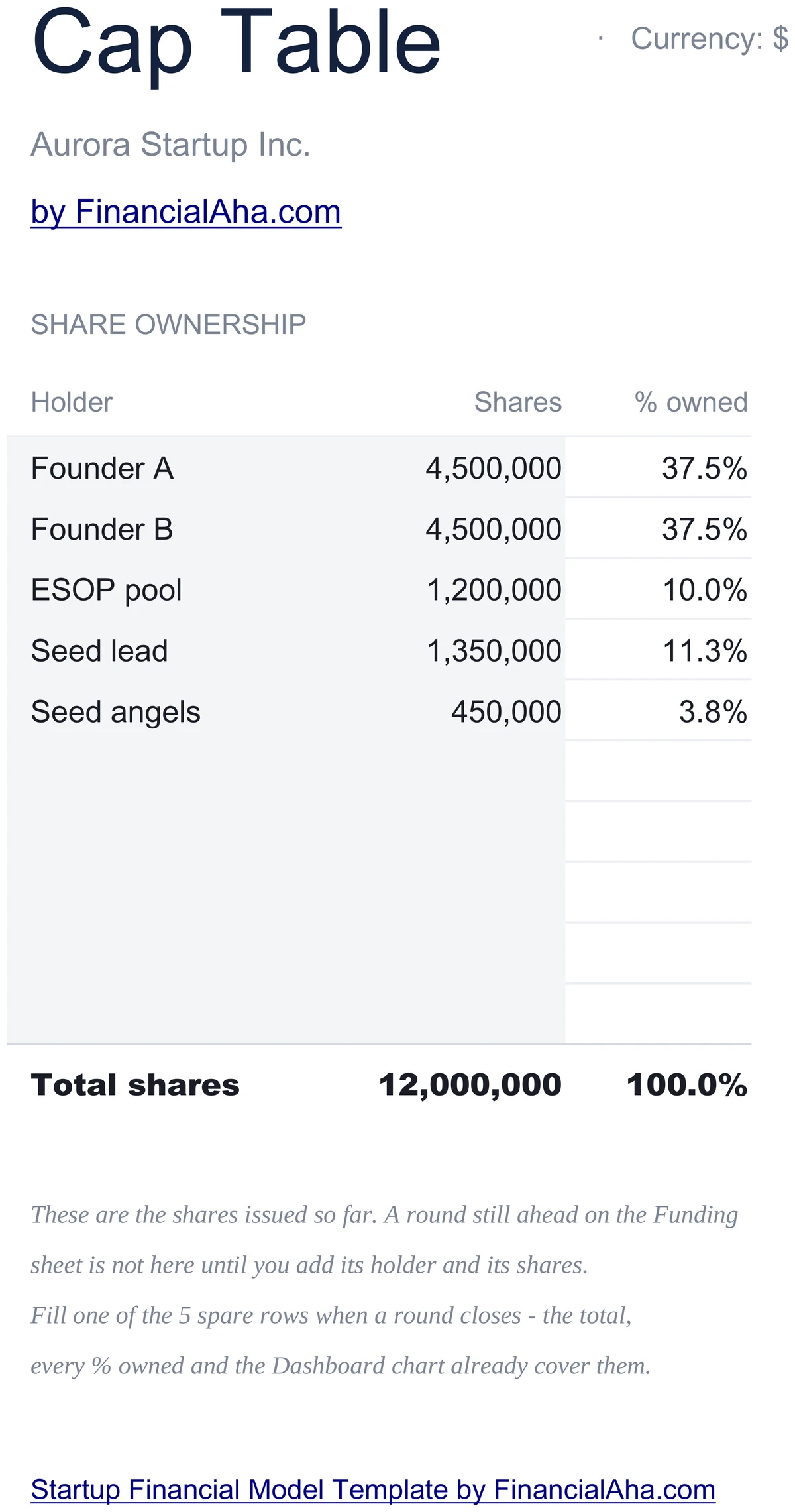 Startup Cap Table with Holders and Ownership %
