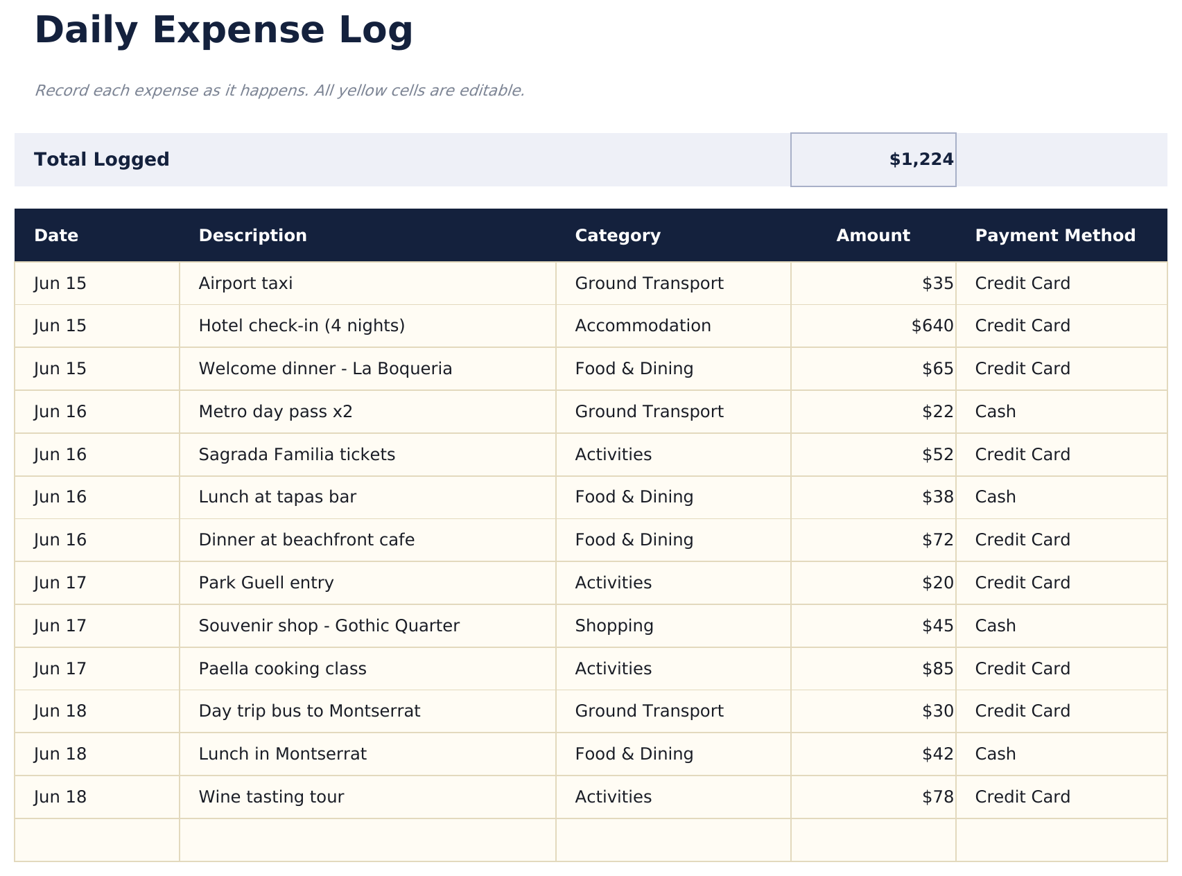 Travel Budget - Daily Expense Log