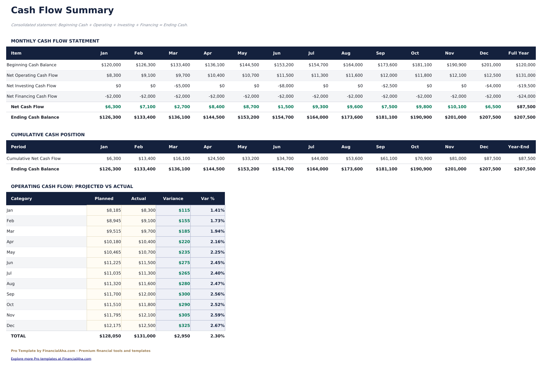 Cash Flow Statement Pro - Cash Flow Summary