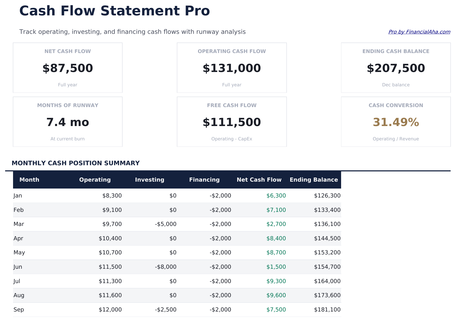 Cash Flow Statement Pro - Dashboard