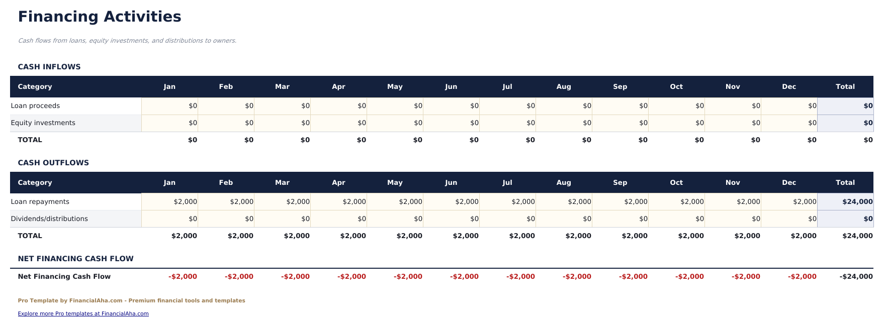 Cash Flow Statement Pro - Financing Activities