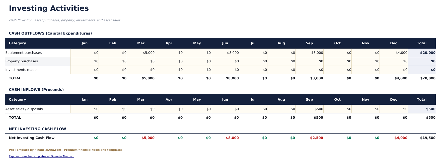 Cash Flow Statement Pro - Investing Activities