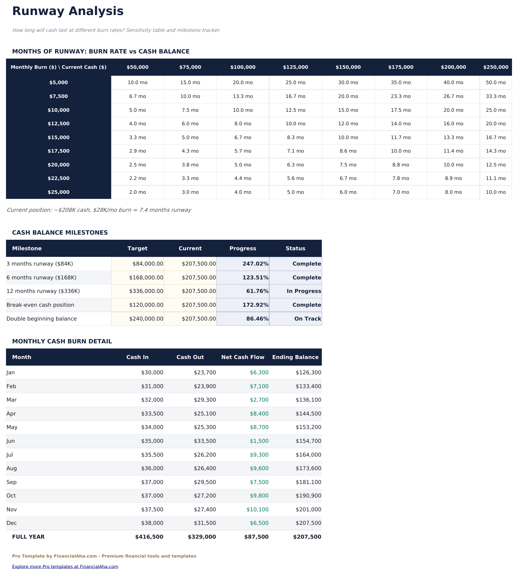 Cash Flow Statement Pro - Runway Analysis