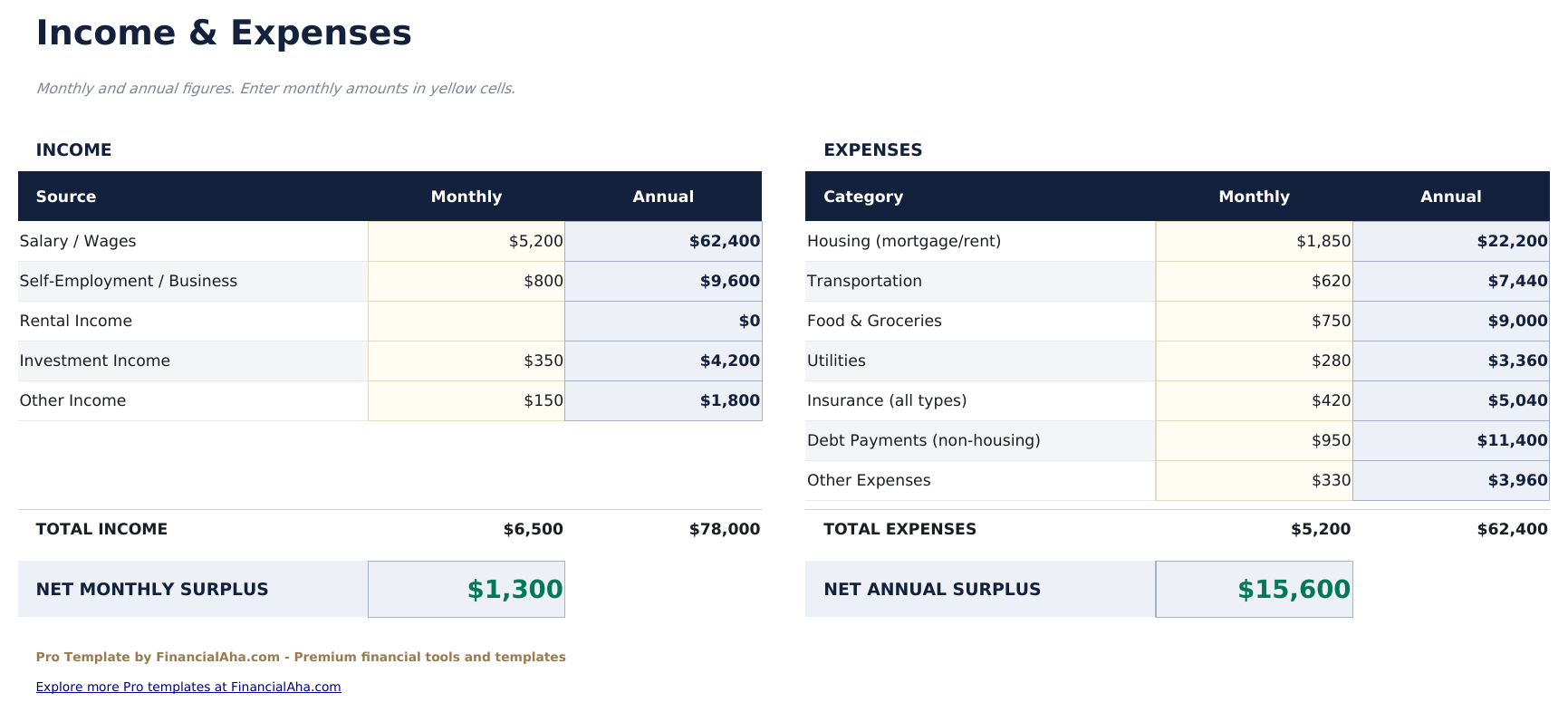 Personal Financial Statement Pro - Income  Amp  Expenses
