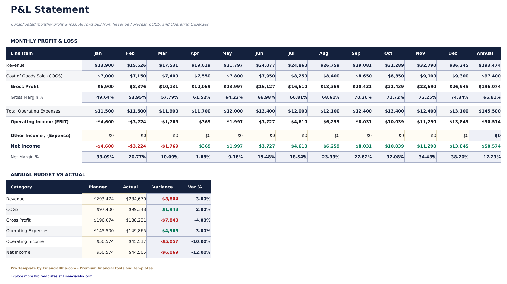 Profit and Loss Projection Pro - P Amp L Statement