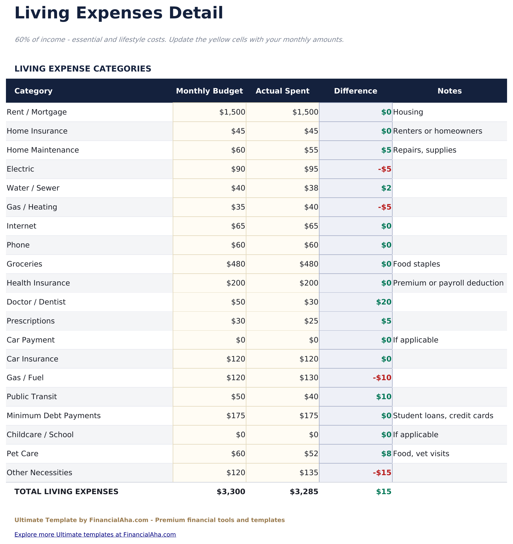 60/20/20 Budget Ultimate - Living Expenses