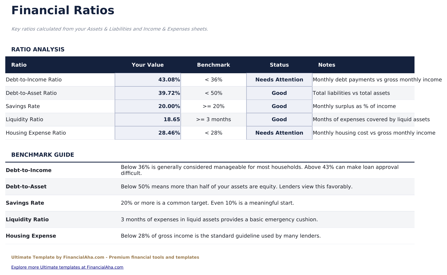 Personal Financial Statement Ultimate - Financial Ratios